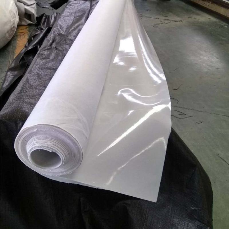 复合土工膜防渗养护房屋防渗排水隔离