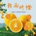 正宗赣南脐橙江西赣州橙子应季新鲜水果现摘现发甜橙整箱