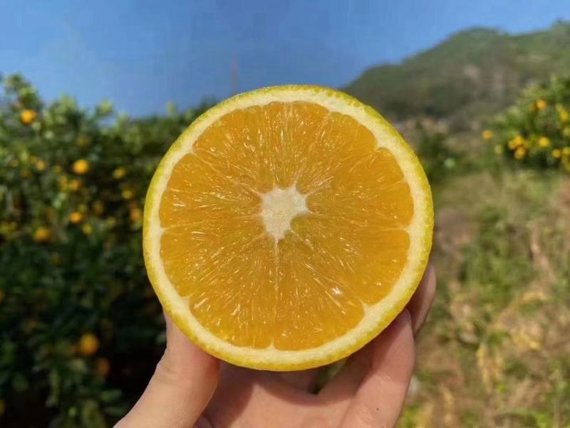 正宗赣南脐橙江西赣州橙子应季新鲜水果现摘现发甜橙整箱