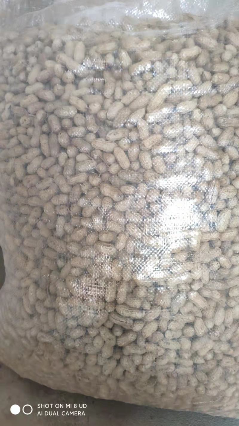 花生手工精选小白沙，带壳鲜/干花生，物美价廉产地直。