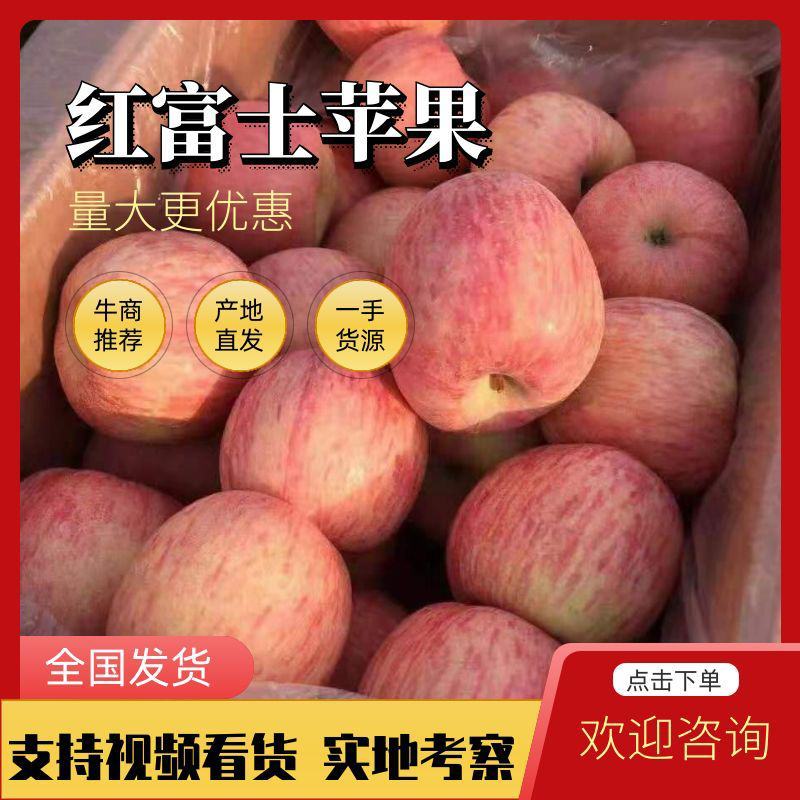 [红富士苹果]山东精品红富士苹果常年供应销售，质优价廉