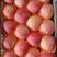[红富士苹果]山东精品红富士苹果常年供应销售，质优价廉