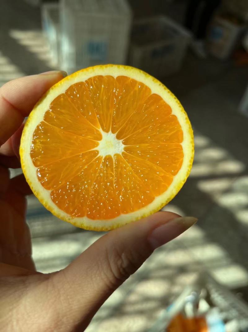 秭归脐橙大量上市，自产自销品质有保障，货源充足！