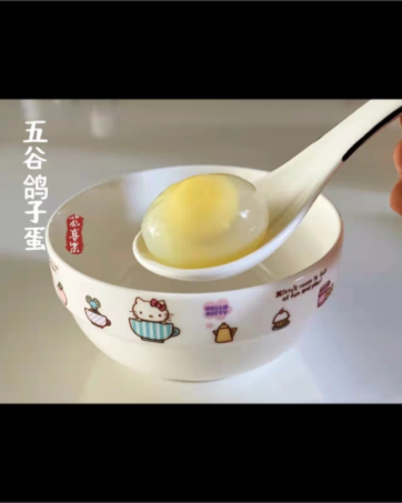 乳鸽产地直销现杀现发长期合作价格优惠