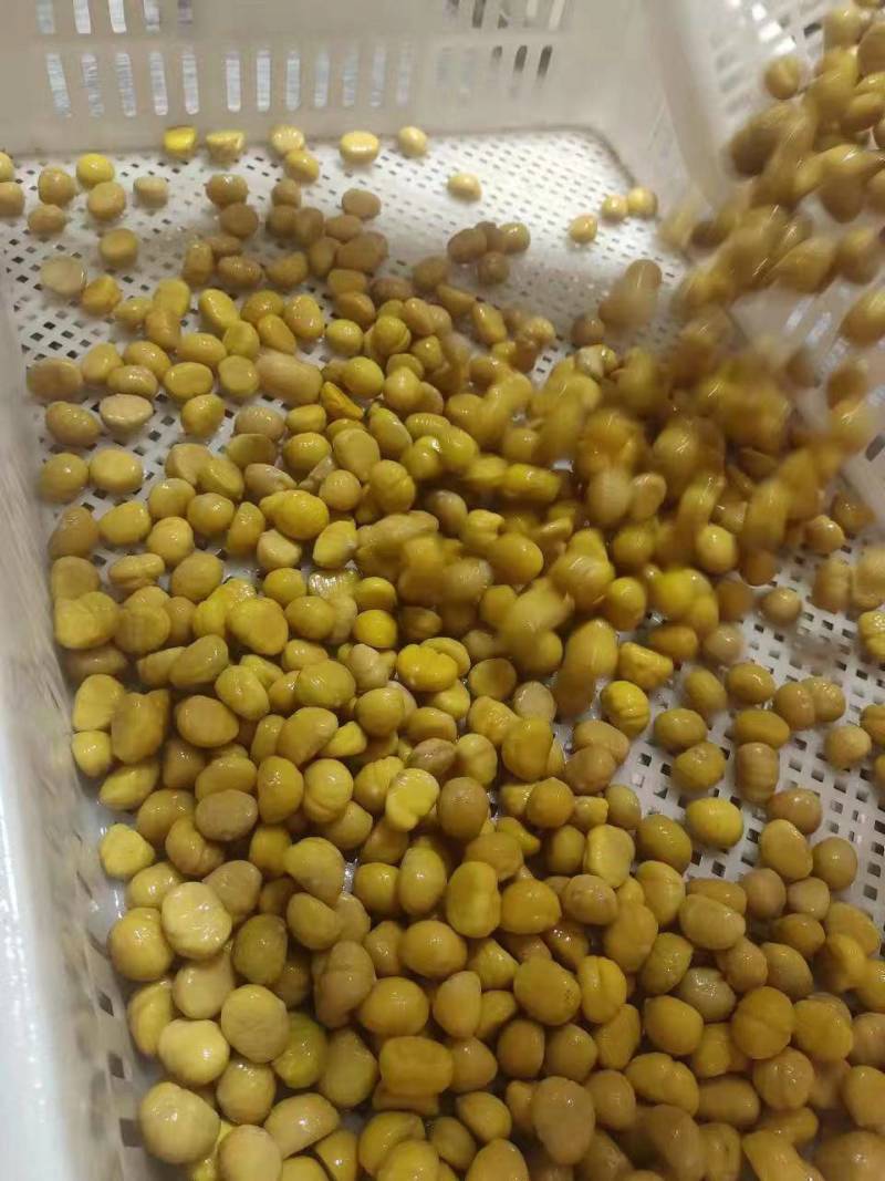河北栗仁栗米纯手工加工按单加工