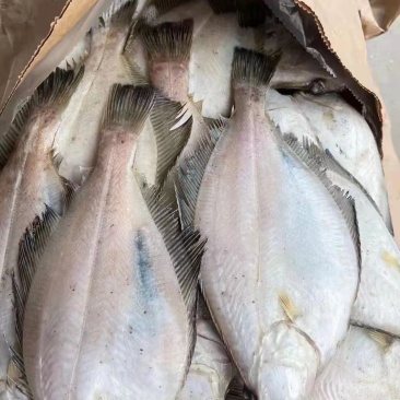 单冻宗八鲽，全规格，手续齐全，5kg/箱，年货福利