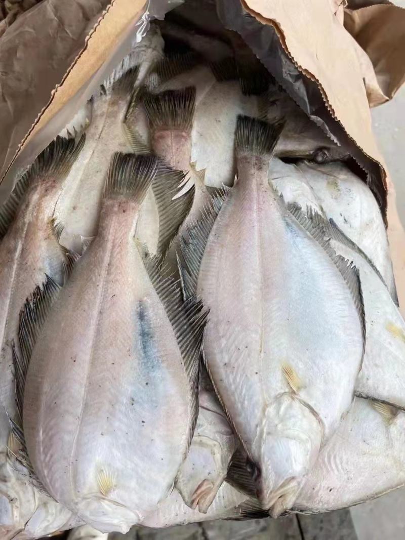 单冻宗八鲽，全规格，手续齐全，5kg/箱，年货福利