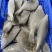 单冻宗八鲽，全规格，手续齐全，5kg/箱，年货福利
