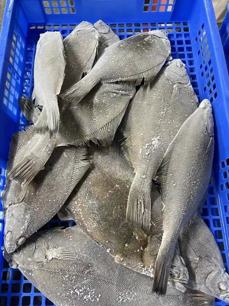 单冻宗八鲽，全规格，手续齐全，5kg/箱，年货福利