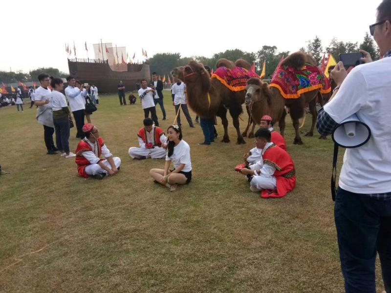 景区骑乘观赏成年训过大骆驼骑乘双峰骆驼养殖场