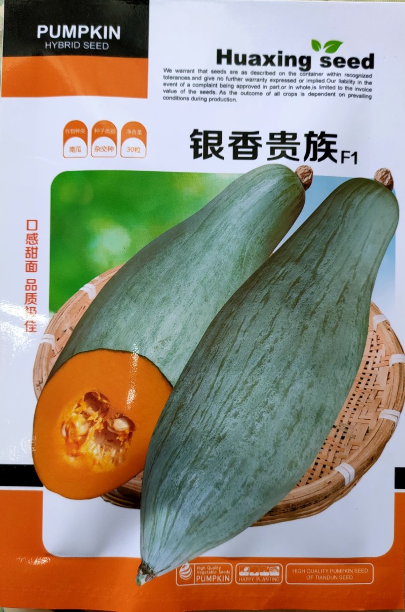 贵族南瓜种子丑瓜种子