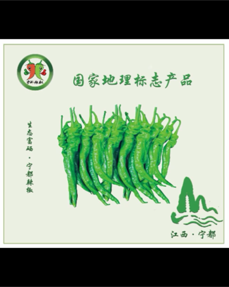宁都辣椒蔬菜基地，青皮三号线，八号线