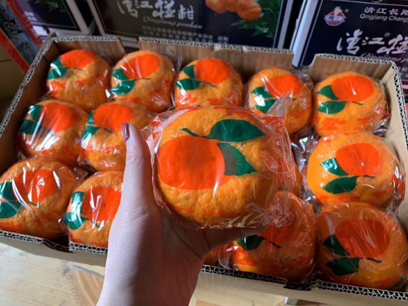 蜜桔产地直销看货采摘保质保量欢迎订购