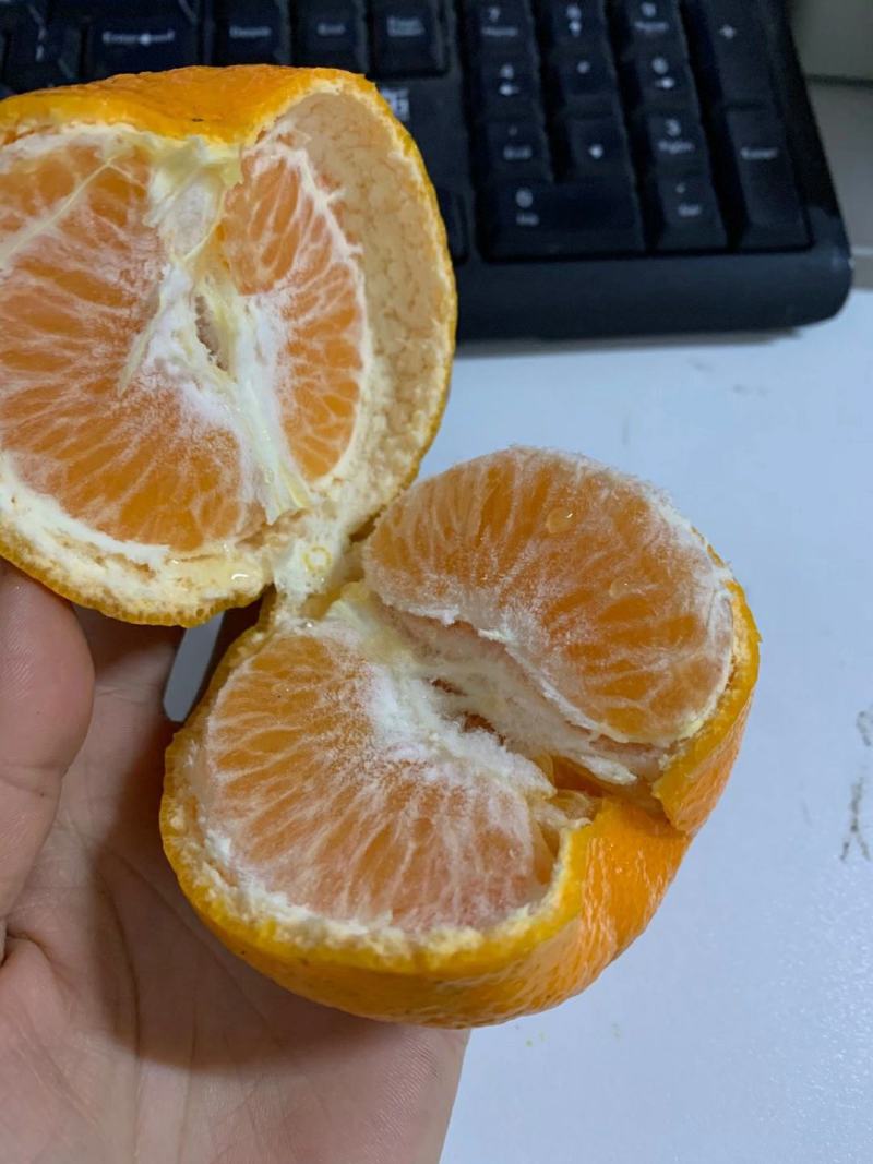 蜜桔产地直销看货采摘保质保量欢迎订购
