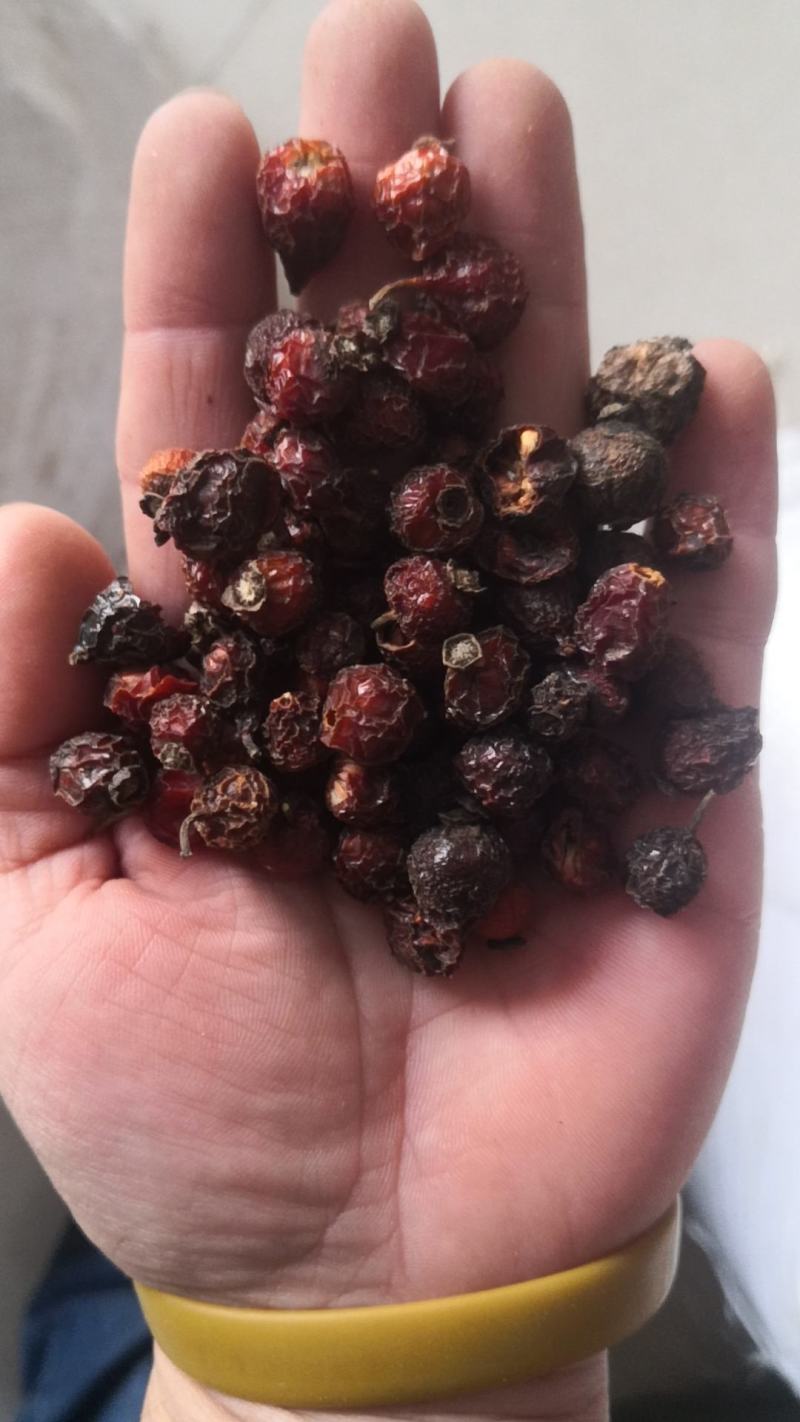 刺玫果玫瑰果农副产品不满意可退换货只卖正品
