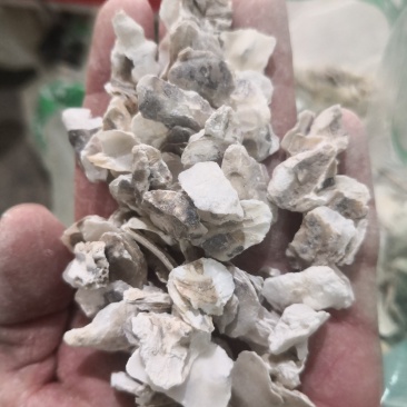 牡蛎生牡蛎煅牡蛎药用牡蛎矿石类中药材批发中药材带抓中药方