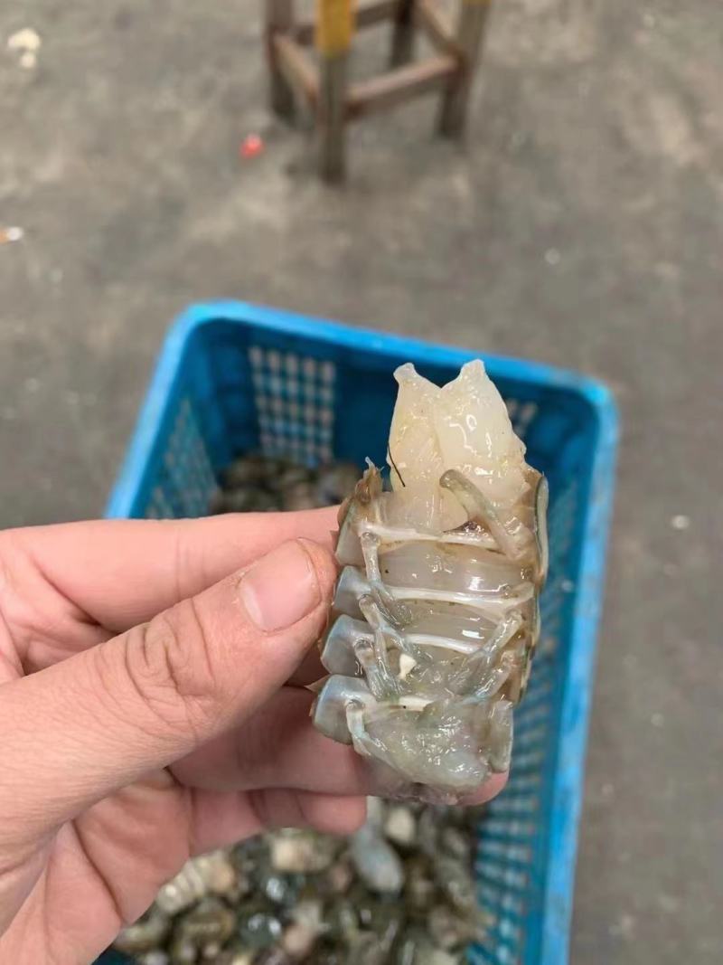 虾尾