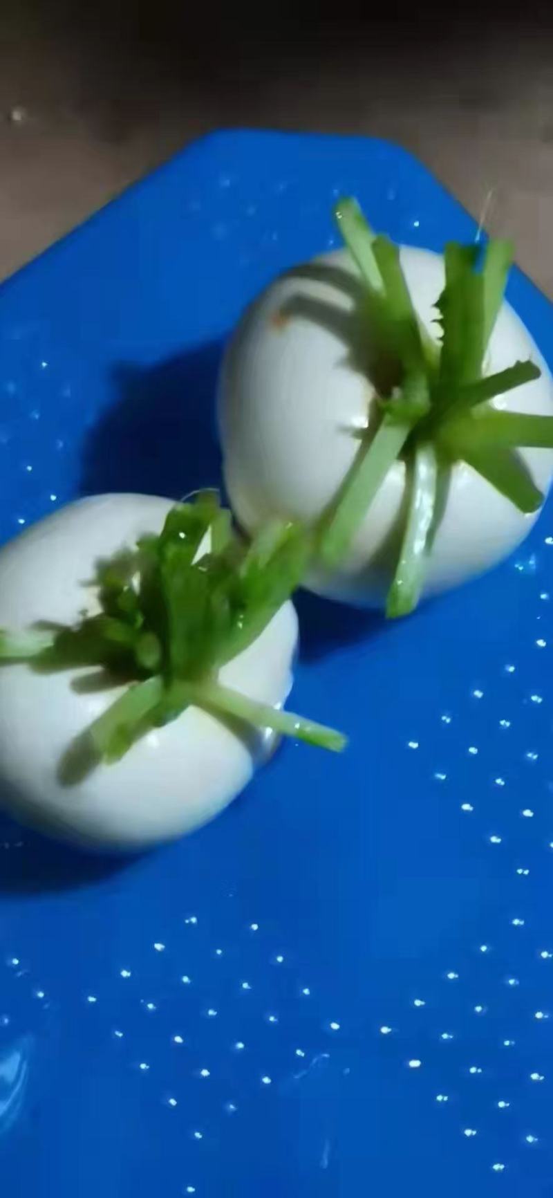 圆萝卜精品好货有有需要的老板赶快联系