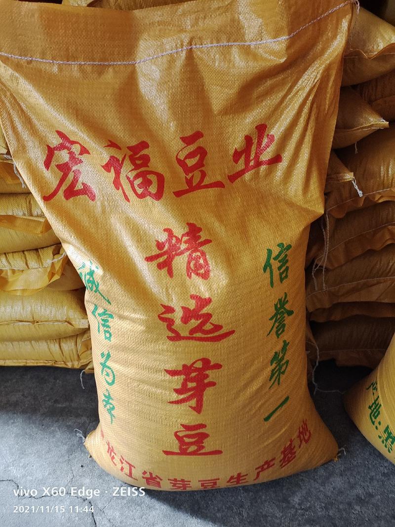 芽豆现货批发东北黄豆小芽豆五谷杂粮袋装79斤