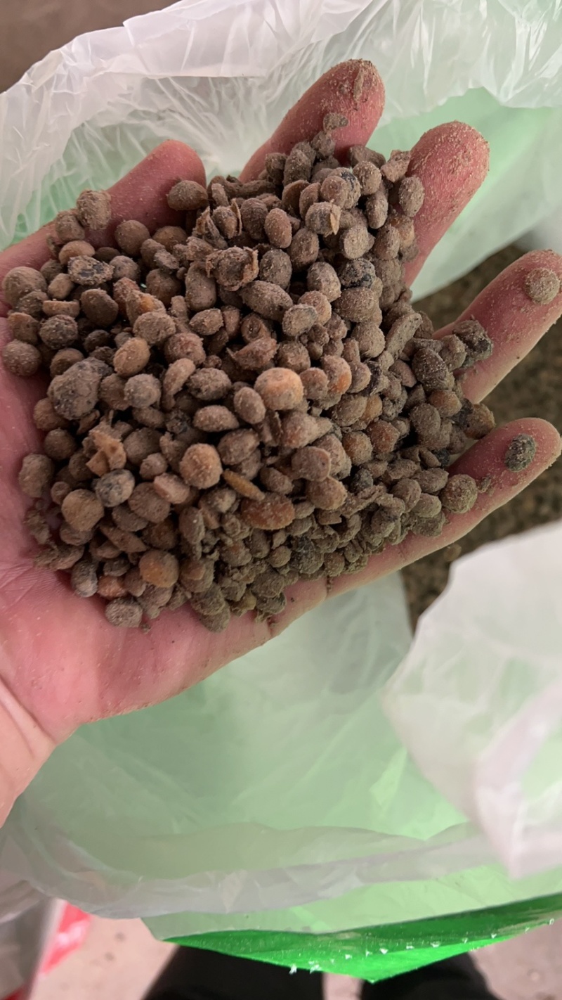 生物菌发酵大豆