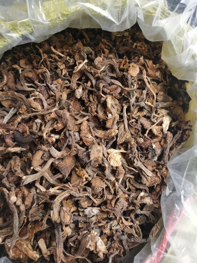【榛蘑】包邮品质榛蘑无杂质纯榛蘑质量保证物美价廉欢迎来电