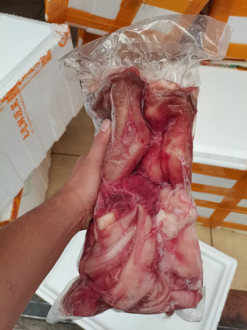 鸵鸟掌