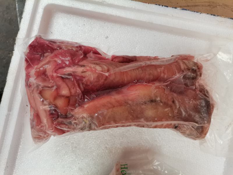 鸵鸟掌