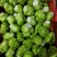 【榨菜】榨菜凌角菜四川产地直供青菜头好货量大从优欢迎订购