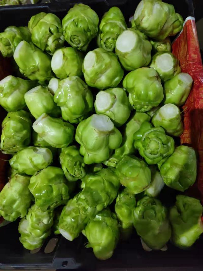 【榨菜】榨菜凌角菜四川产地直供青菜头好货量大从优欢迎订购