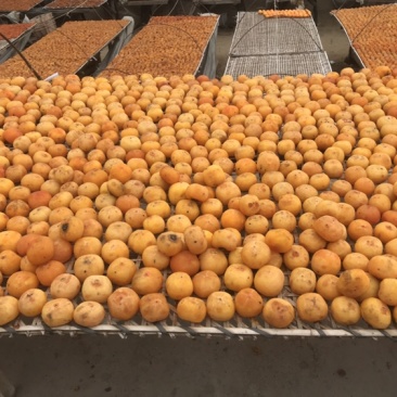 好吃圆柿饼新鲜上市之中是送礼必备必备单品