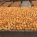 好吃圆柿饼新鲜上市之中是送礼必备必备单品