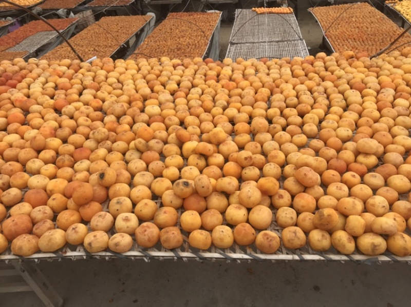 好吃圆柿饼新鲜上市之中是送礼必备必备单品