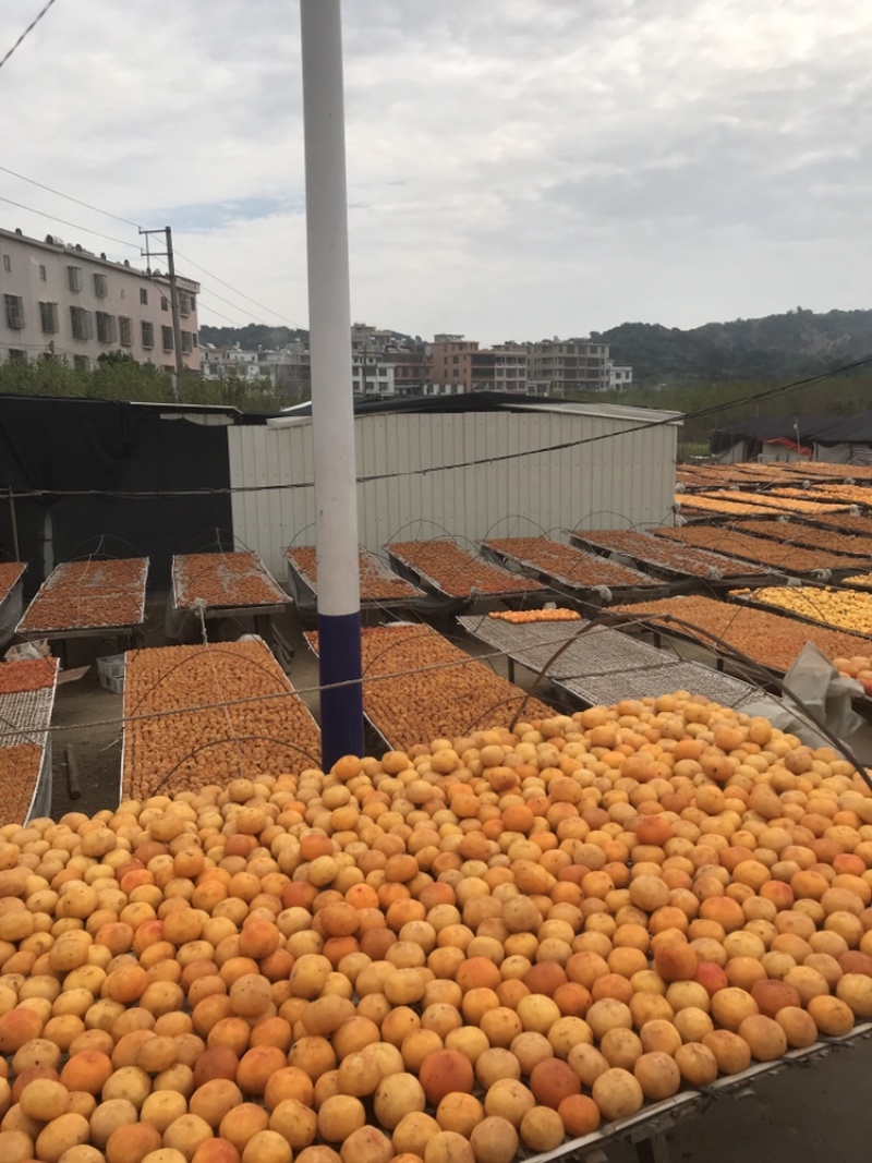 好吃圆柿饼新鲜上市之中是送礼必备必备单品