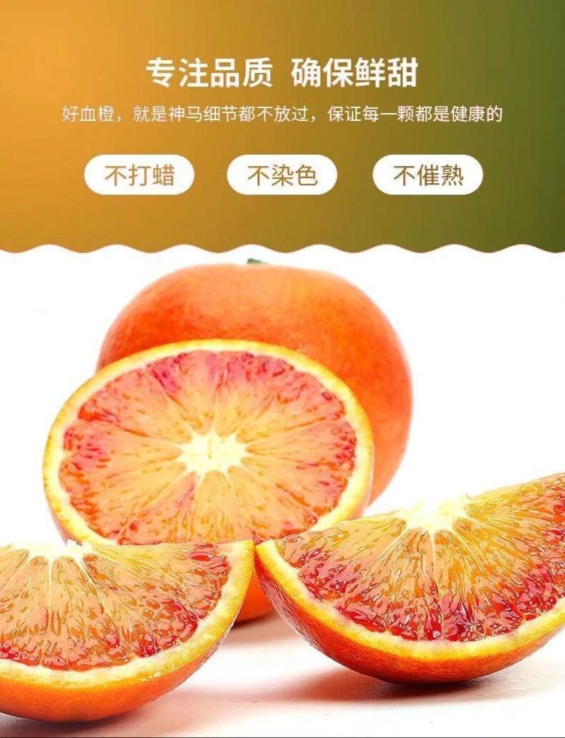 四川资中塔罗科3号血橙8号血橙2号血橙产地直发保证质量