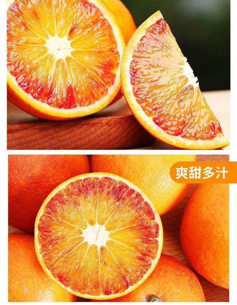 四川资中塔罗科3号血橙8号血橙2号血橙产地直发保证质量