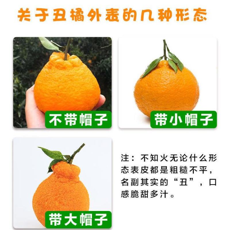 四川正宗不知火丑橘电商市场货桔子柑橘新鲜孕妇高次果批发