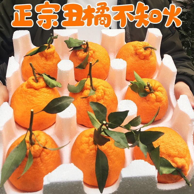 四川正宗不知火丑橘电商市场货桔子柑橘新鲜孕妇高次果批发