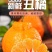 四川正宗不知火丑橘电商市场货桔子柑橘新鲜孕妇高次果批发