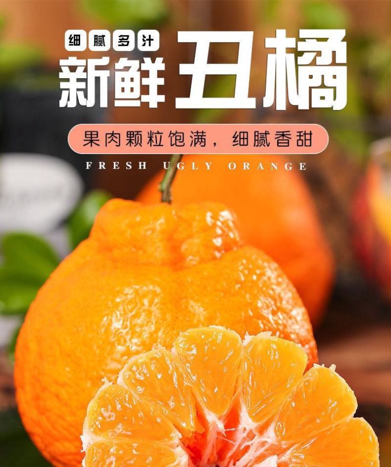 四川正宗不知火丑橘电商市场货桔子柑橘新鲜孕妇高次果批发