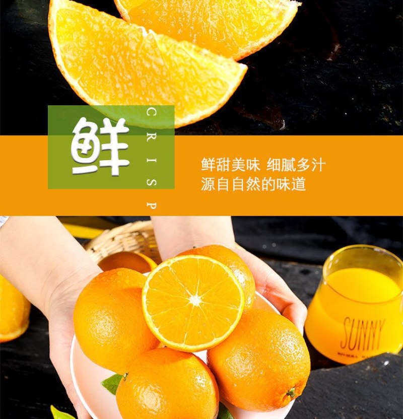 正宗赣南脐橙江西产地赣州脐橙当季新鲜手剥甜橙橙子果园现摘
