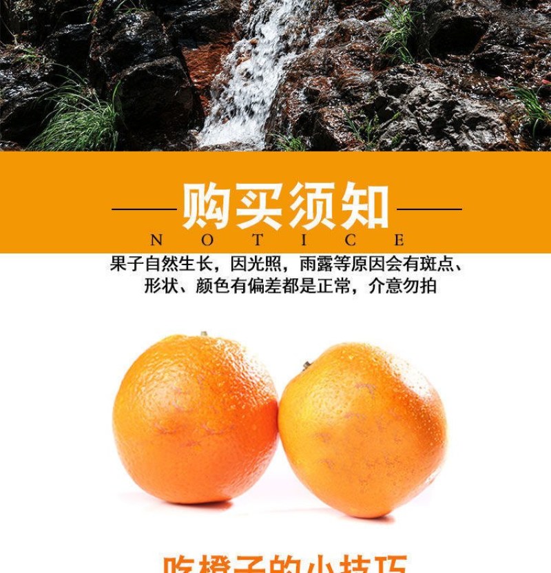 正宗赣南脐橙江西产地赣州脐橙当季新鲜手剥甜橙橙子果园现摘
