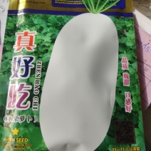 水果萝卜种子，口感好脆甜，耐寒耐热耐湿，空心晚，