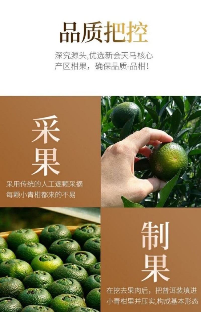 特级普洱小青柑正宗新会柑桔普茶浓香云南熟普经久耐泡