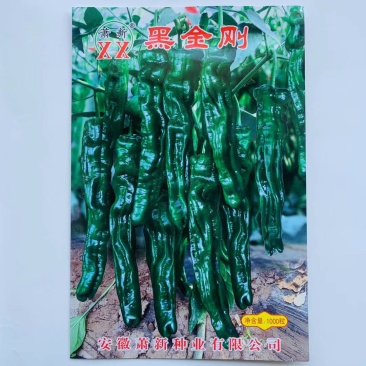黑金刚辣椒种子长果小皱皮更黑亮高产皱皱辣香辣邹皮椒山东蔬