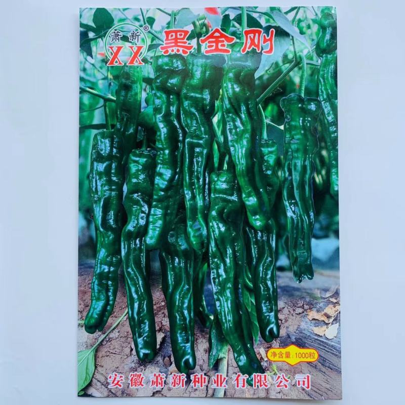 黑金刚辣椒种子长果小皱皮更黑亮高产皱皱辣香辣邹皮椒山东蔬