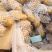荷兰十五土豆3两以上，黄心土豆质量好一亩田诚信供应商