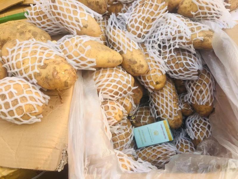 荷兰十五土豆3两以上，黄心土豆质量好一亩田诚信供应商