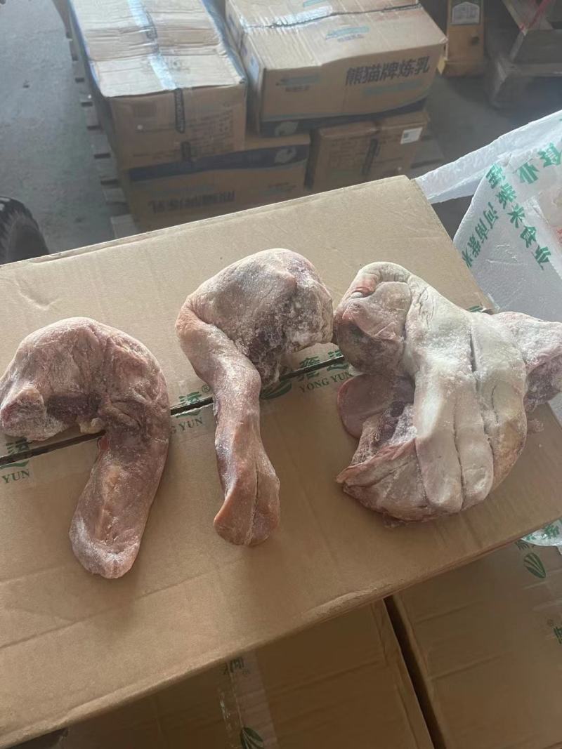 鲜冻驴口条马口条驴舌头颜色鲜质量优全程冷链运输欢迎选购