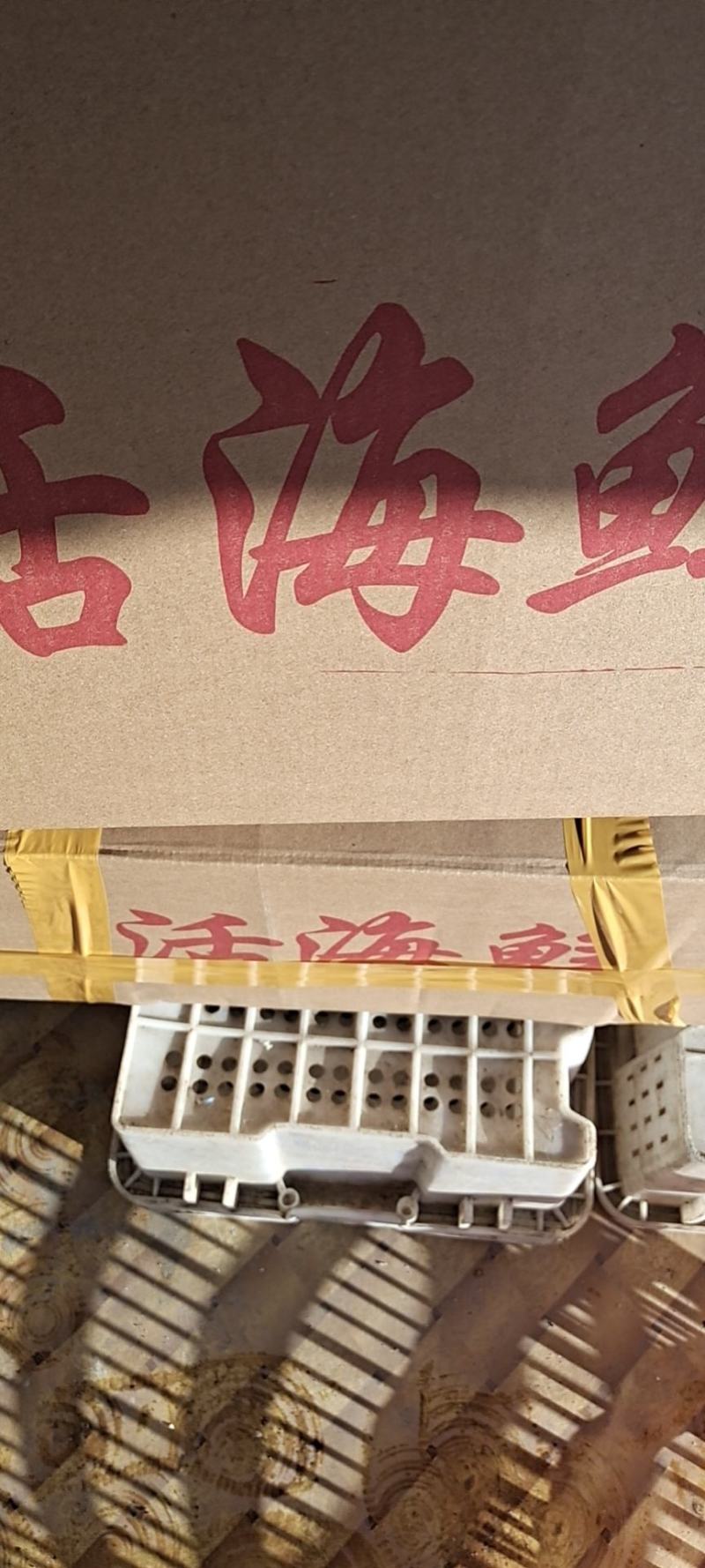东港本地大，中，小海螺。需要的一亩田采购，量大优先。
