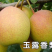 玉露香梨皮薄多汁香甜可口果园直发一手货源诚信经营